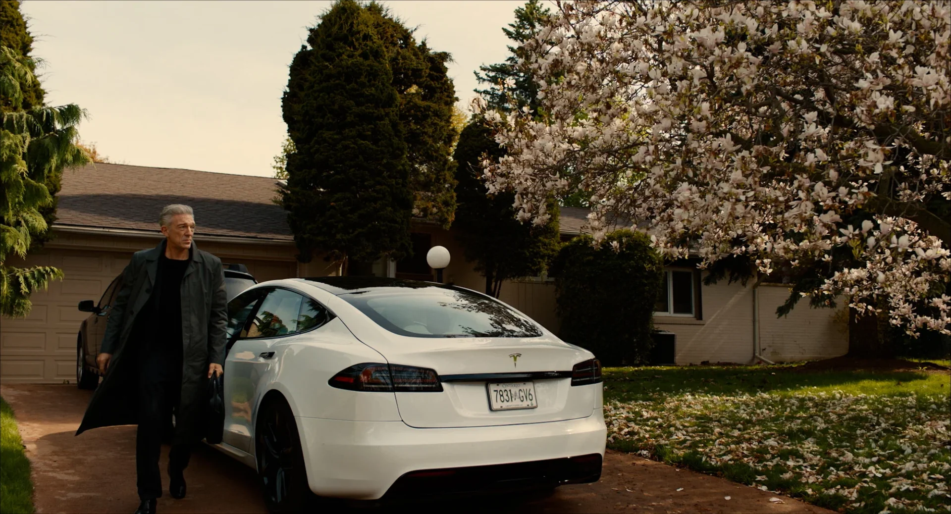 Милые кости: рецензия на «Саван» Дэвида Кроненберга